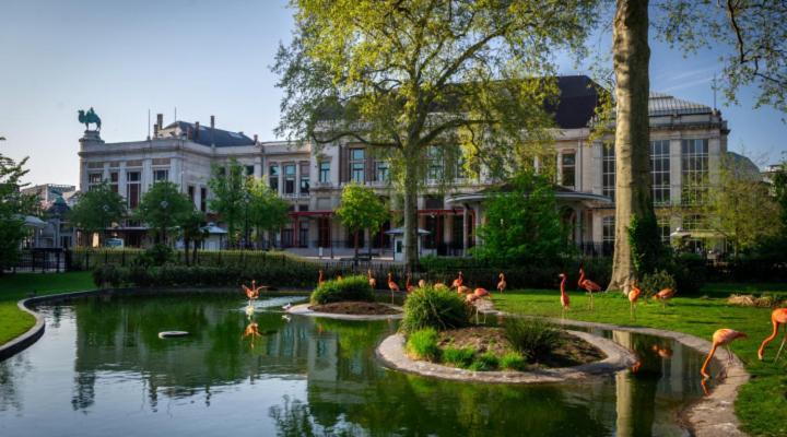 Studio In City Center With Terrace, Netflix - Wifi Antwerpen Bagian luar foto